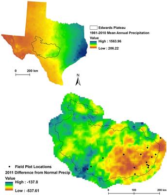 Tree Mortality After a Hot Drought: Distinguishing Density-Dependent and -Independent Drivers and Why It Matters